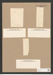 Pleurosigma var. curvulum (Kuetz) Grun. (de-Toni-Nr.: Genus 13, Species 1076) Zeichnungen Sammlung Grunow Nr. 1959 (NHMW-BOT-W0369102)
